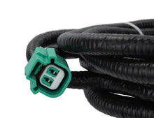 Load image into Gallery viewer, Photo - Unmounted