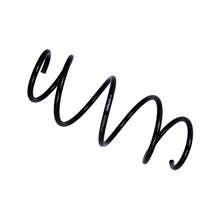 Cargar imagen en el visor de la galería, Photo - Primary