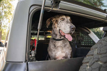 Cargar imagen en el visor de la galería, DV8 Offroad 2021-2024 Ford Bronco Dog Barrier
