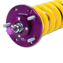 Cargar imagen en el visor de la galería, User 6