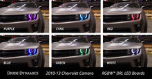 Cargar imagen en el visor de la galería, User 5