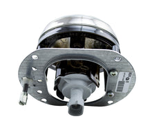 Load image into Gallery viewer, Photo - out of package