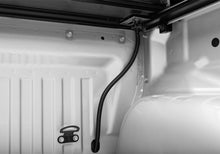 Load image into Gallery viewer, Photo - Close Up