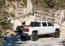 Load image into Gallery viewer, Photo - Mounted