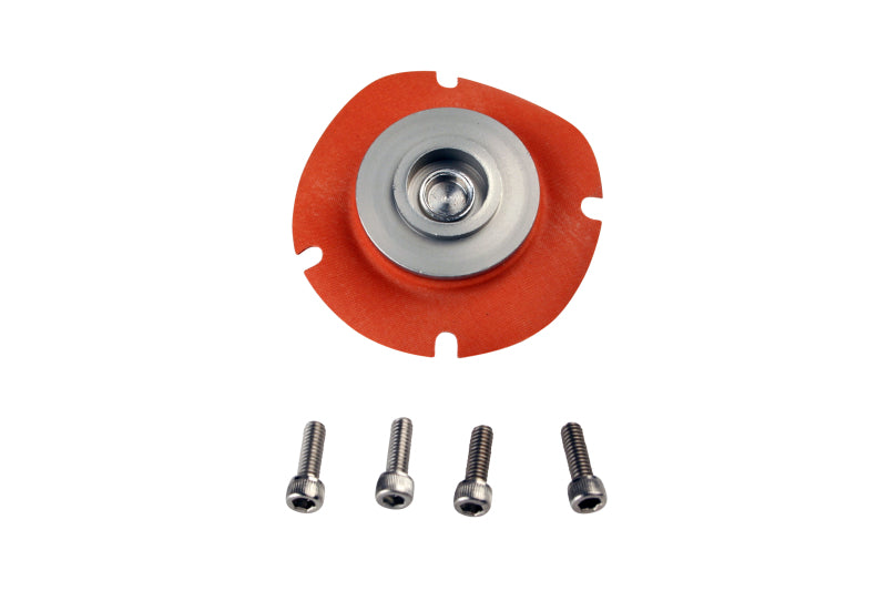 Aeromotive Regulator Repair Kit (for 13202/13113/13209/13214/13212)