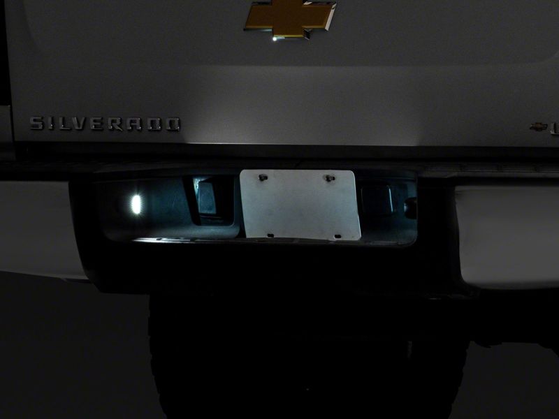 Photo - Close Up