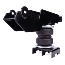 Cargar imagen en el visor de la galería, User 1