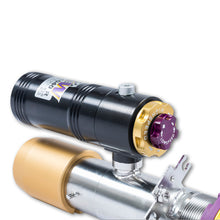 Cargar imagen en el visor de la galería, User 5