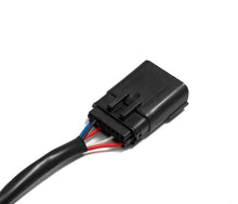 Cargar imagen en el visor de la galería, User 3