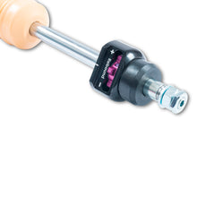 Cargar imagen en el visor de la galería, User 6