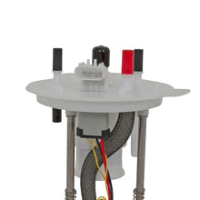 Load image into Gallery viewer, User 2