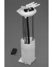 Cargar imagen en el visor de la galería, User 1