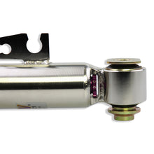 Cargar imagen en el visor de la galería, User 9