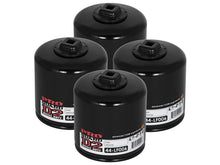 Cargar imagen en el visor de la galería, aFe Pro GUARD D2 Oil Filter 74-08 Dodge Gas Truck V6 3.9L/V8 4.7L/5.7L/5.2L/5.9L/V10 8.3L/8.0L (4pk)