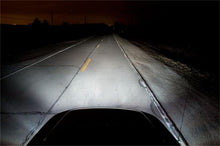 Cargar imagen en el visor de la galería, Photo - Mounted