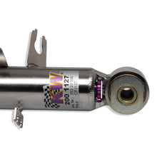 Cargar imagen en el visor de la galería, User 5