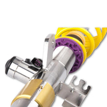 Load image into Gallery viewer, User 2