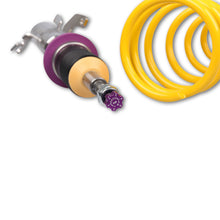 Load image into Gallery viewer, User 2