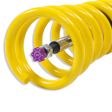 Cargar imagen en el visor de la galería, User 4