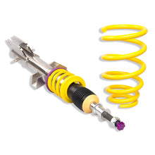 Cargar imagen en el visor de la galería, User 1