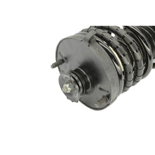 Cargar imagen en el visor de la galería, KYB Shocks &amp; Struts Strut Plus Rear Left FORD Escort 1991-96 MAZDA 323 1990-94 MAZDA Protege 1990-94