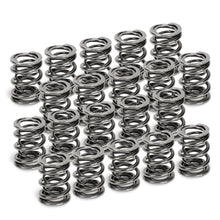 Cargar imagen en el visor de la galería, Supertech VW VR6 Dual Valve Spring - Set of 20