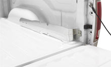 Load image into Gallery viewer, Photo - Mounted