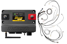 Cargar imagen en el visor de la galería, Haltech NEXUS Rebel LS Kit (Suits Gen IV) 6-Pin DBW Throttle/EV6 Injectors/Manual Transmission