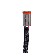 Cargar imagen en el visor de la galería, SPAL Jumper Harness for Brushless Fans