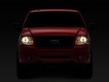 Load image into Gallery viewer, Photo - Close Up