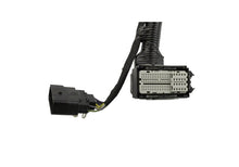 Cargar imagen en el visor de la galería, Ford Racing 5.0L Coyote Engine Harness for Automatic Transmission