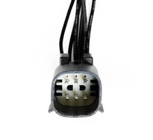 Cargar imagen en el visor de la galería, User 2