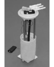 Cargar imagen en el visor de la galería, User 1