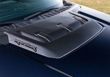 Load image into Gallery viewer, Photo - Mounted