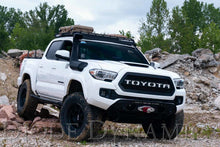 Cargar imagen en el visor de la galería, Diode Dynamics 16-21 Toyota Tacoma Stage Series Ditch Light Bracket Kit