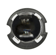 Cargar imagen en el visor de la galería, Photo - Unmounted