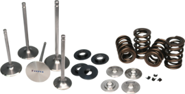Ferrea 01-06 BMW S54 Dual Spring Kit