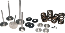 Load image into Gallery viewer, Ferrea 04-08 Arctic Cat DVX 400 Single Valve Spring Kit