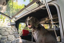 Cargar imagen en el visor de la galería, DV8 Offroad 2021-2024 Ford Bronco Dog Barrier