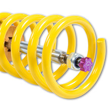 Cargar imagen en el visor de la galería, User 5