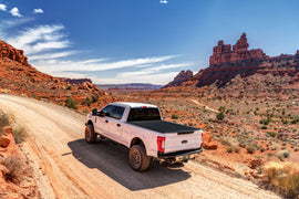 Truxedo 04-08 Ford F-150 8ft Sentry CT Bed Cover