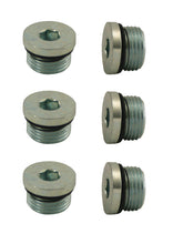 Cargar imagen en el visor de la galería, Moroso Pipe Plug w/O-Ring -8An 3/4in-16 - Steel - 6 Pack