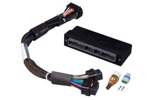 Cargar imagen en el visor de la galería, Haltech Mazda Miata NA 1.6/1.8 w/2 Plug 2 Row ECU Elite 1000/1500 Plug-n-Play Adaptor Harness