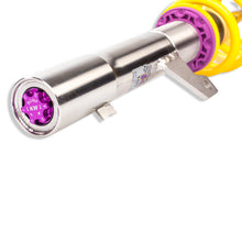 Cargar imagen en el visor de la galería, User 5