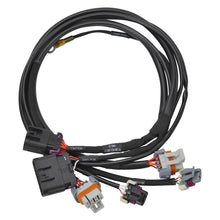 Cargar imagen en el visor de la galería, Edelbrock Chevy LS 58x Crank/Cam Pro-Flo 4+ EFI Ignition &amp; Engine Position Harness