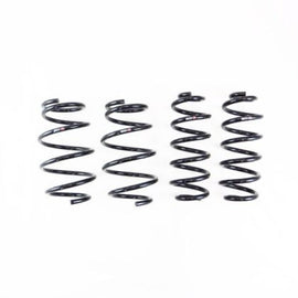 RS-R 03-05 Honda Odyssey RB1/RB2 Down Sus Springs (Special Order No Returns/Cancellation)
