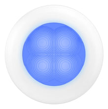 Load image into Gallery viewer, Photo - Primary