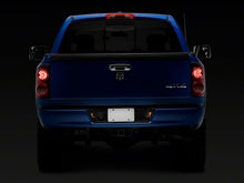 Load image into Gallery viewer, Photo - Close Up