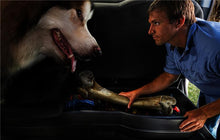 Load image into Gallery viewer, Husky Liners 09-12 Ford F-150 Super Cab Husky GearBox (w/o Factory Subwoofer)