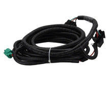 Load image into Gallery viewer, Photo - Unmounted